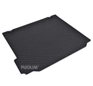 Tavite portbagaj auto BMW X5 , Tavita portbagaj BMW X5 E70 2007-2013 Rigum - autogedal.ro