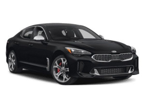 Default Category Kia Stinger , Scut motor metalic Kia Stinger 2017-prezent - autogedal.ro